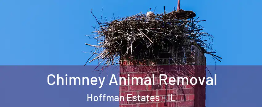 Chimney Animal Removal Hoffman Estates - IL