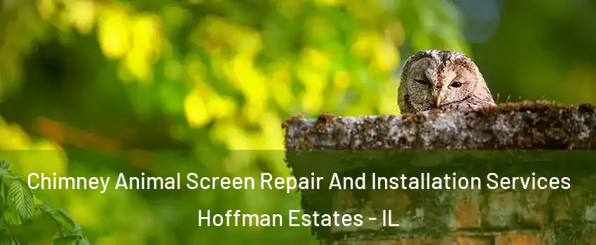  Chimney Animal Screen Repair And Installation Services Hoffman Estates - IL