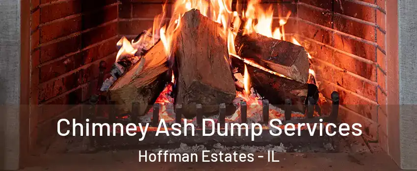  Chimney Ash Dump Services Hoffman Estates - IL