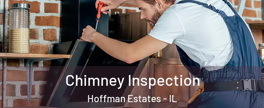  Chimney Inspection Hoffman Estates - IL