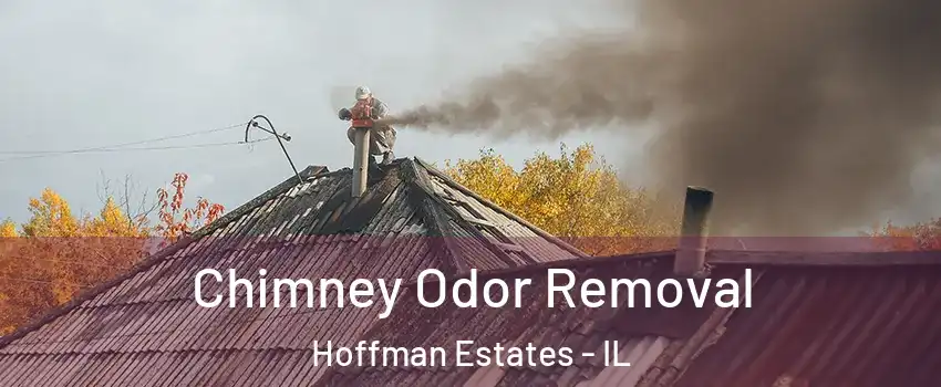  Chimney Odor Removal Hoffman Estates - IL