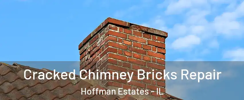  Cracked Chimney Bricks Repair Hoffman Estates - IL