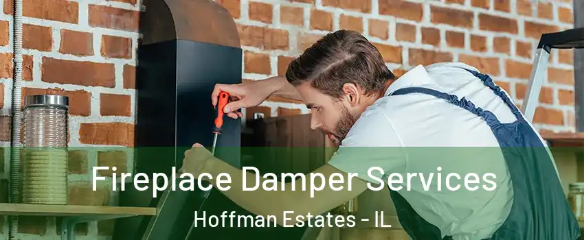  Fireplace Damper Services Hoffman Estates - IL