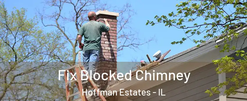 Fix Blocked Chimney Hoffman Estates - IL