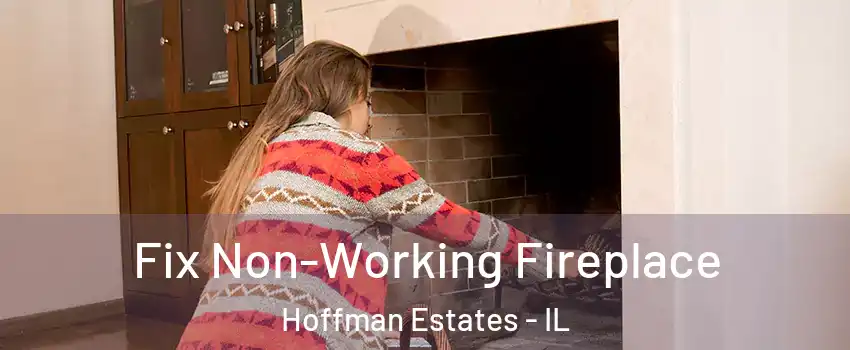  Fix Non-Working Fireplace Hoffman Estates - IL