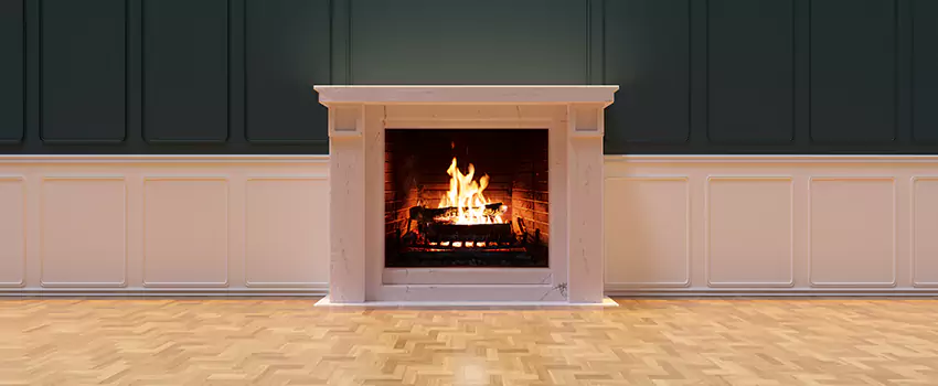 Napoleon Electric Fireplaces Inspection Service in Hoffman Estates, Illinois