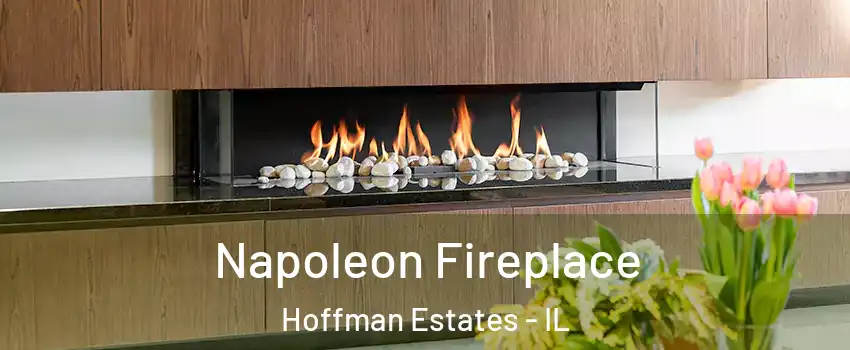  Napoleon Fireplace Hoffman Estates - IL