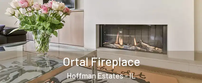 Ortal Fireplace Hoffman Estates - IL